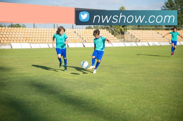 App Interface Preview